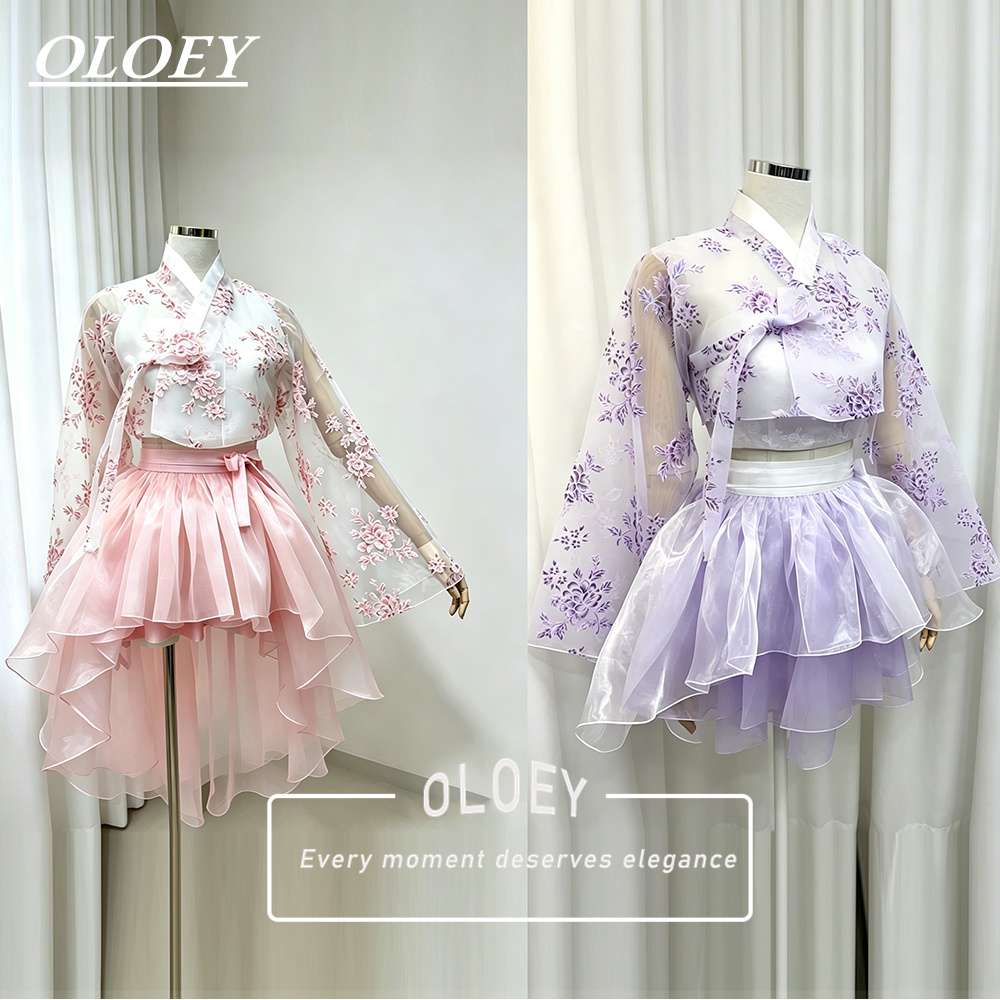 Modern Korean Lifestyle - OLOEY Vestido Moderno Coreano Hanbok Curto
